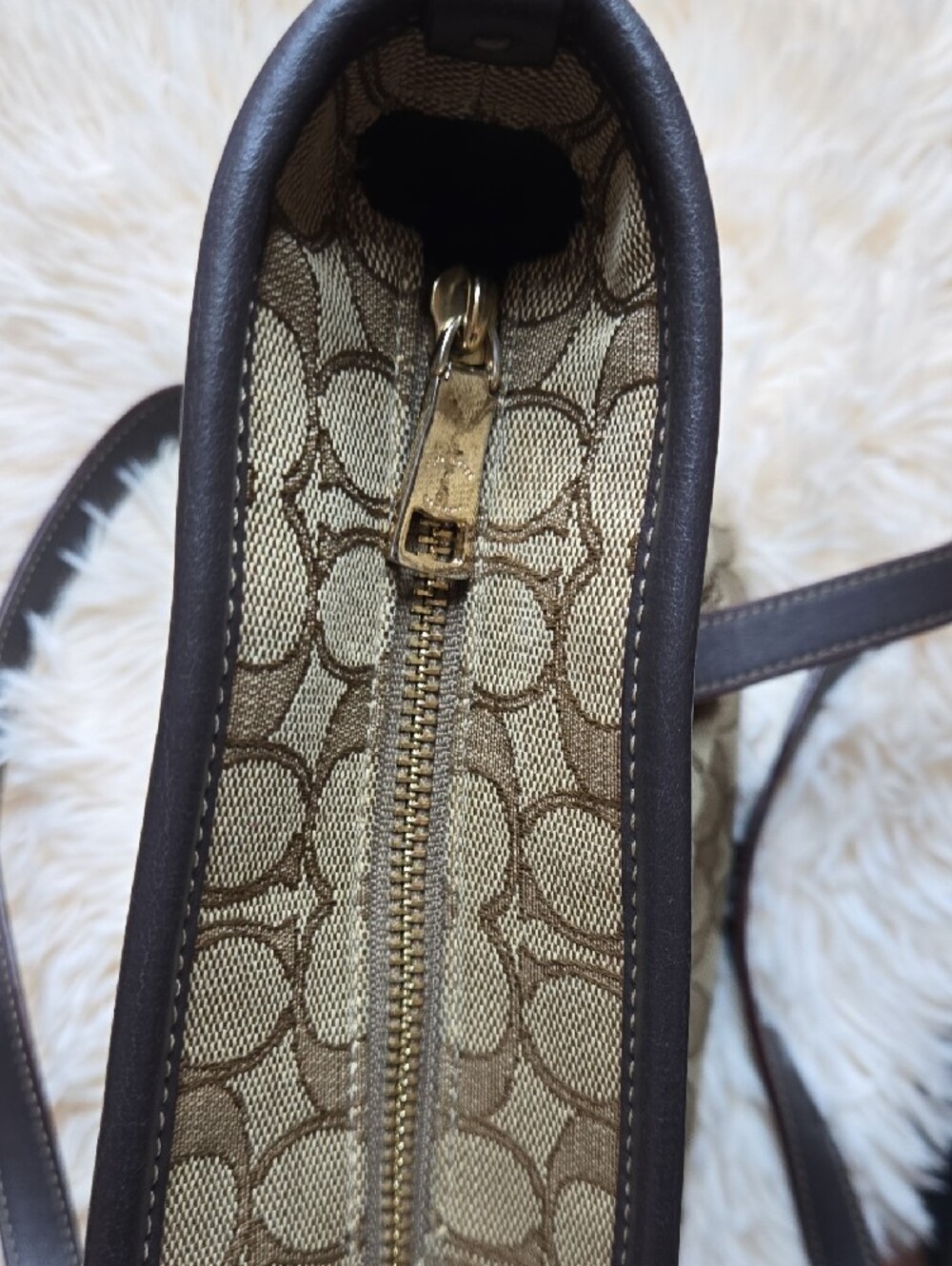 Coach Signature Canvas Tote in Tan and Dark Brown - Picture 12 of 12